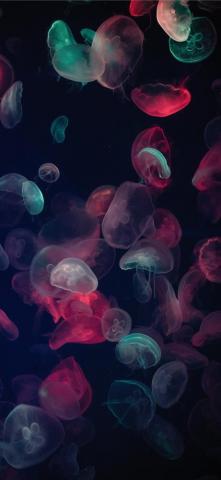 Best iPhone X Wallpaper HD