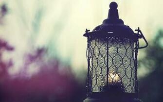Wet Oil Lamp Wallpaper
