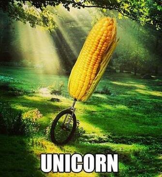 Return To Funny Pictures Pics