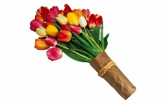 Large Size Tulip Wallpaper Flower