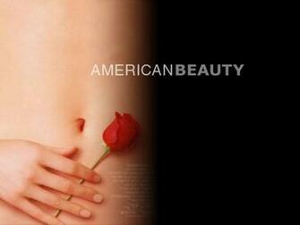 American Beauty Image HD Wallpaper And Background
