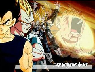 Vegeta Photo