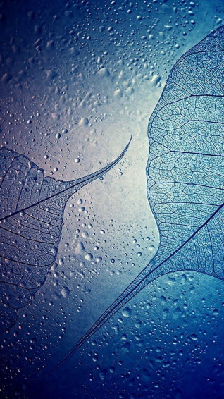 Samsung A03 Wallpaper Mobcup