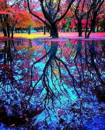 Meilleures Image Propos De Reflections Sur