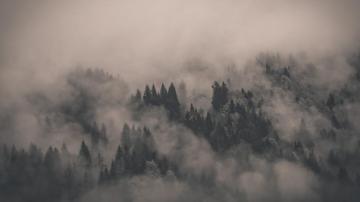 Fog HD Wallpaper Background Image
