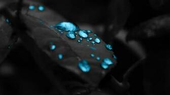 Water Drops Blue Effect Wallpaper UHD
