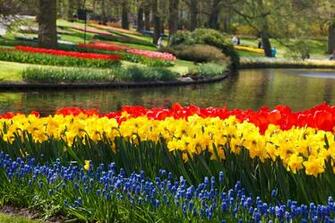 Keukenhof Flower Gardens Stock Photo HD Public Domain Pictures