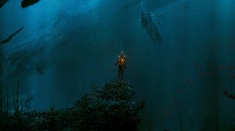 Underwater 4k Wallpaper