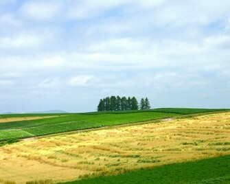 Wallpaper Categories Landscape