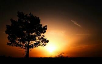 Sunrise Joy HD Desktop Wallpaper We Select The Best