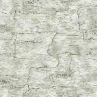 Grey Lm7987 Birch Bark Wallpaper Lodge Outdoors