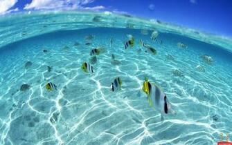 Ocean HD Widescreen Desktops Laptops Computers Background Wallpaper