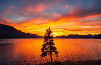 Widescreen Wallpaper