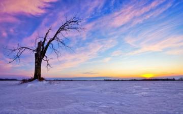 Beautiful Winter Sunset Wallpaper Stock