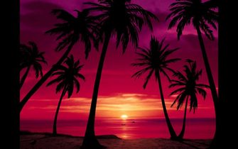 Wallpaper Software Brothersoft HD