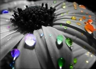 Colored Raindrops Wallpaper