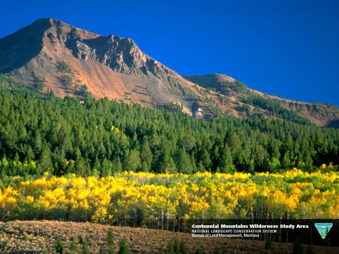 Centennial Mountains Wilderness Study Area Size X