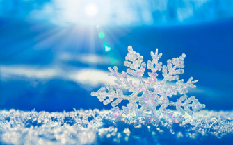 Beautiful Winter Wallpaper