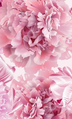 Pink Peonies Window Curtains Wallpaper iPhone Flower Phone