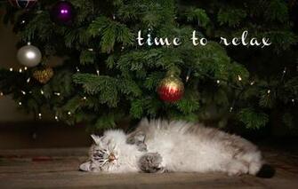 Wallpaper Branches Animal Holiday Toys New Year Christmas