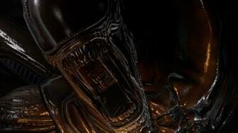 Aliens Vs Predator Wallpaper In
