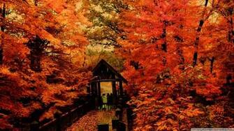 Wallpaper Autumn Morning 1080p HD Upload At February