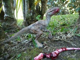 Velociraptor Dinosaur iPhone Wallpaper