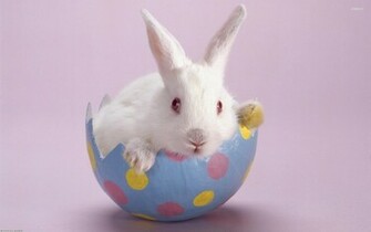 Easter Bunny Wallpaper Holiday