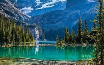 Bing 10wallpaper