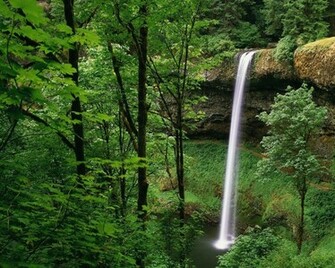 Waterfall Greenery Woods Nature Wallpaper