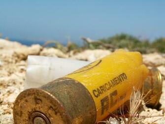 Shotgun Shell Wallpaper By Maxfreak