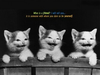 Friendship Wallpaper Cards Pictures And Friends Quotes