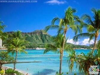 Nature Photo Wallpaper Of Hawaii Feeling