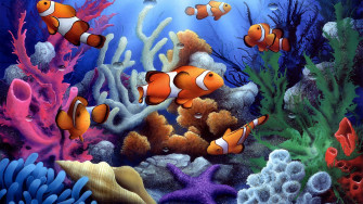 Beautiful Fish Wallpaper
