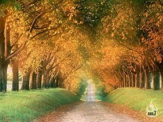 Beautiful Wallpaper Nature