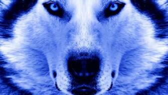 Winter Wolf By Ice Grip