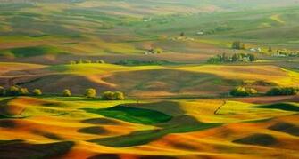 Palouse Hills In The Morning Sun Washington State Us