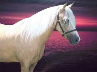Cavalo De Rosa Bonito Vetor