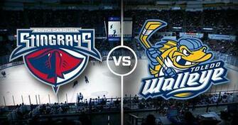 Welcome To The Official Website Of South Carolina Stingrays Team