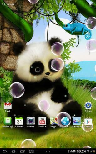 Animated Panda Live Wallpaper For Android By