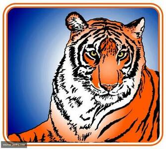 free download tiger wallpapers white tiger print wallpaper