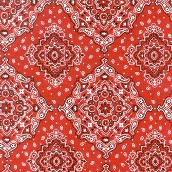 Calamity Pillow Case Red Bandana