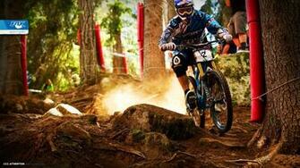 Mountain Bike Wallpaper