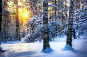 Winter Desktop Wallpaper Top Background