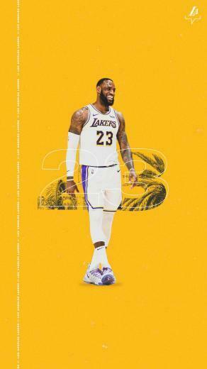 Lakers Wallpaper And Infographics Los Angeles