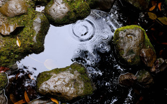 Moving Water Wallpaper