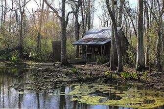 Cajun Shack Photo Sharing