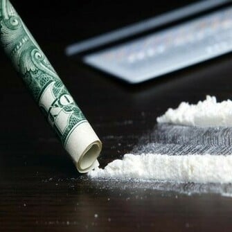 Free download cocaine bears 1600x1000 wallpaper Animals Bears HD ...