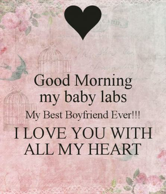 My Baby Labs Best Boyfriend Ever I Love You With All Heart