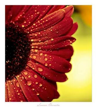Cool Summer Season Pictures Entertainmentmesh